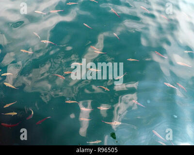 Wellige Wasseroberfläche Natur und Landschaft detail Meer Stockfoto