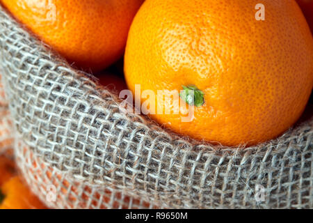Mandarine (Citrus reticulata) auch als Mandarin oder Mandarine bekannt Stockfoto