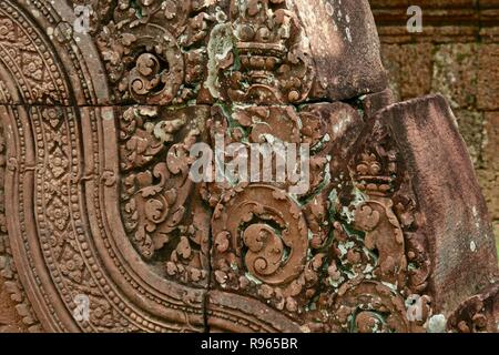 Nahaufnahme der detaillierte Schnitzereien auf Dschungel Tempel Ruinen in Kambodscha Stockfoto