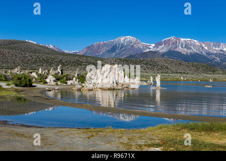 Unterirdischen Gewässern geben Sie die Unterseite des Mono Lake durch kleine Federn. Es dauerte viele Jahrzehnte bilden die anerkannten Tufa Towers. Wenn See Ebenen Stockfoto