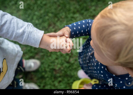 Blick von oben auf die toddler Boy zeigt seine kleine Schwester eine kleine Schnecke auf seiner Hand. Stockfoto