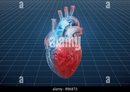 Visualisierung von 3D-CAD-Modell des menschlichen Herzens, 3D-Rendering Stockfoto