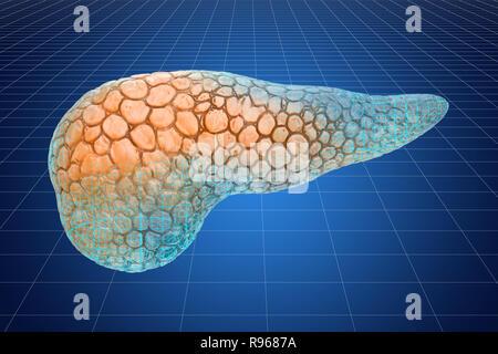 Visualisierung 3D-CAD-Modell der menschlichen Bauchspeicheldrüse, 3D-Rendering Stockfoto