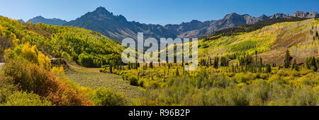 Bunte Bäume im Herbst in Willow Sumpf entlang der East Fork von Dallas Creek in der Uncompaghre National Forest in der Nähe von Woodford, Colorado. Stockfoto