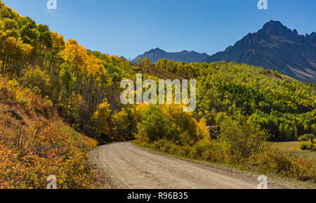 Einen bunten stand von golden Apsen Bäume auf der East Dallas Road in der Uncompaghre National Forest in der Nähe von Woodford, Colorado. Stockfoto