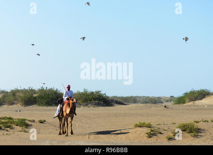 Ein Omanisches kamel Herder in Oman. Stockfoto