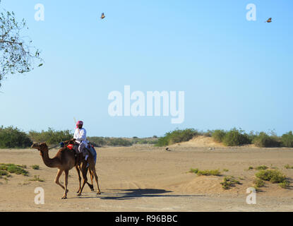 Ein Omanisches kamel Herder in Oman. Stockfoto