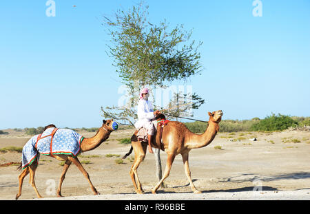 Ein Omanisches kamel Herder in Oman. Stockfoto