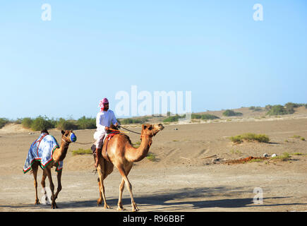 Ein Omanisches kamel Herder in Oman. Stockfoto