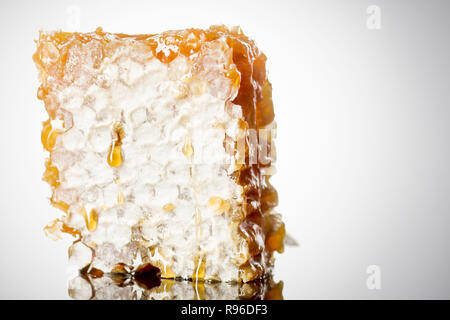 Honeycomb Stück. Honig Slice auf weißen Hintergrund. Package Design Element Stockfoto