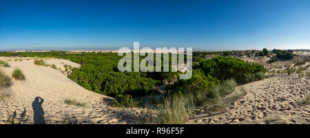 Fotograf Schatten Panoramablick Foto in der Doñana Stockfoto