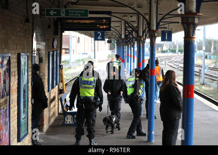 Kings Lynn, Großbritannien. 20 Dez, 2018. Polizisten und einen Hund suchen die Station vor Königin Elizabeth II. in Kings Lynn nach dem Fang eines öffentlichen Zug von London kommt, zu Beginn Ihrer jährlichen Weihnachten Urlaub in Sandringham, Norfolk. Es ist nicht ungewöhnlich, dass der Monarch, die öffentlichen Verkehrsmittel zu benutzen, wenn Sie zu Kings Lynn reist. Königin Elizabeth II kommt in Kings Lynn mit dem Zug in Kings Lynn, Norfolk, Großbritannien, am 20. Dezember 2018. Credit: Paul Marriott/Alamy leben Nachrichten Stockfoto