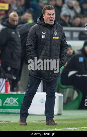 Borussia Mönchengladbach, Deutschland. 18 Dez, 2018. Trainer Dieter Hecking (MG) gibt Anweisungen, Anweisungen, vollständige Abbildung, Hochformat, Fußball 1. 1. Fussballbundesliga, 16. Spieltag, Borussia Mönchengladbach (MG) - FC Nürnberg (N) 2:0, am 18.12.2018 im Borussia Mönchengladbach/Deutschland. € | Nutzung der weltweiten Kredit: dpa/Alamy leben Nachrichten Stockfoto