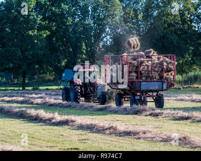 Landwirt auf seinem Traktor mit Anhänger Abholung Ballen Heu von einer Wiese in Barum, Elbmarsch, Niedersachsen, Deutschland. Stockfoto