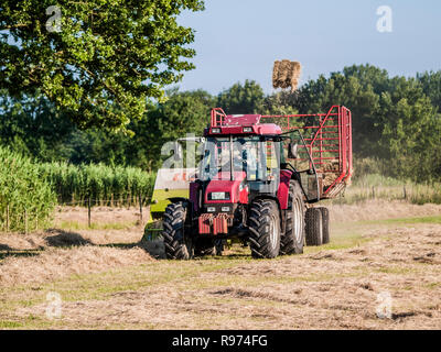 Landwirt auf seinem Traktor mit Anhänger Abholung Ballen Heu von einer Wiese in Barum, Elbmarsch, Niedersachsen, Deutschland. Stockfoto