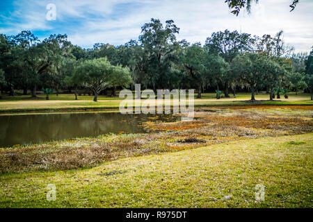 Eine malerische und friedliche Aussicht auf den Park auf Avery Island, Louisiana Stockfoto