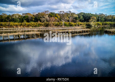 Eine malerische und friedliche Aussicht auf den Park auf Avery Island, Louisiana Stockfoto