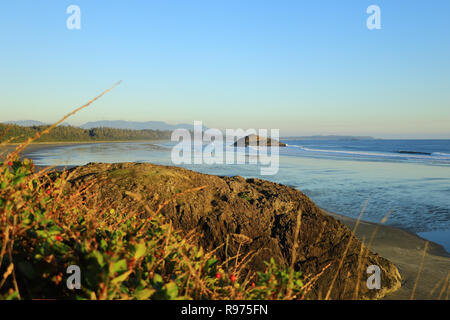 Der lange Strand, Tofino, Vancouver Island, British Columbia, Kanada, Sonnenuntergang Stockfoto