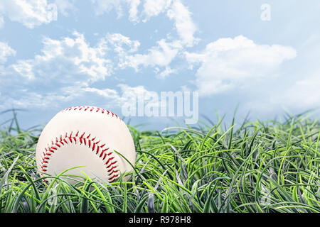 18259693 - Baseball in liegend im Gras an einem schönen Sommertag. Stockfoto