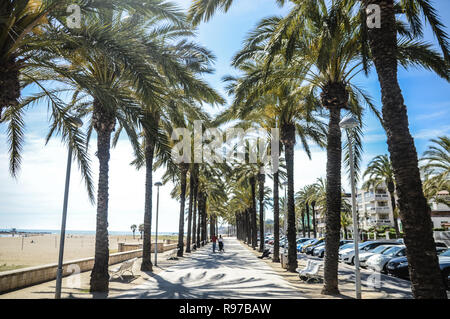 Stadt am Strand Spaziergang zwischen Palmen Stockfoto