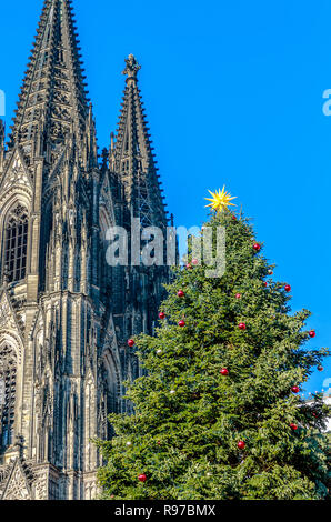 Riesige Weihnachtsbaum am berühmten Kölner Dom, Deutschland Stockfoto