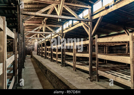 Etagenbetten aus Holz in einer Baracke in Auschwitz - Birkenau Konzentrationslager, Polen Stockfoto