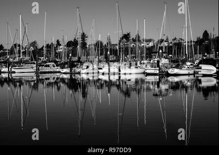 Bellingham Bay Marina mit Yachten und Segelboote mit Reflexionen im Wasser verankerten Stockfoto