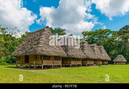 Traditionelle Gehäuse in großen Holzhütten mit palm leaf Dach im Amazonas Regenwald, Yasuni Nationalpark, Ecuador. Stockfoto