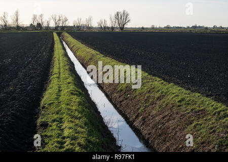 Fens East Anglia Fenlandschaft ein Deich ein Entwässerungsgraben. 2010er Jahre Norfolk UK 2018 HOMER SYKES Stockfoto