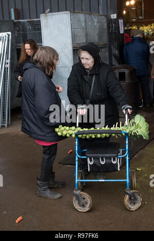 Ländliche Armut Großbritannien. Brussel-Sprossen auf einem Stielstock Weihnachtsmarkt Norfolk East Angelia. England 2010s 2018 HOMER SYKES. Stockfoto