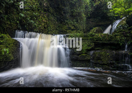 McLean fällt, die Catlins, Südinsel, Neuseeland Stockfoto