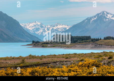 Lake Tekapo, Canterbury, Südinsel, Neuseeland Stockfoto