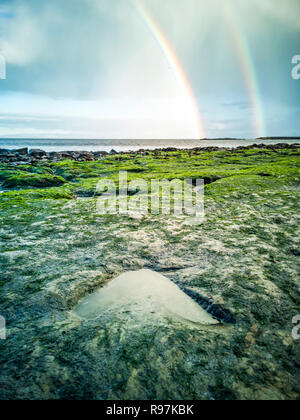 Regenbogen über der berühmten Fußabdrücke von Dinosauriern zu einem corran Strand von staffin auf die Isle of Skye - Schottland Stockfoto