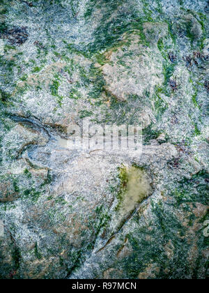 Die berühmten Fußabdrücke von Dinosauriern zu einem corran Strand von staffin auf die Isle of Skye - Schottland Stockfoto