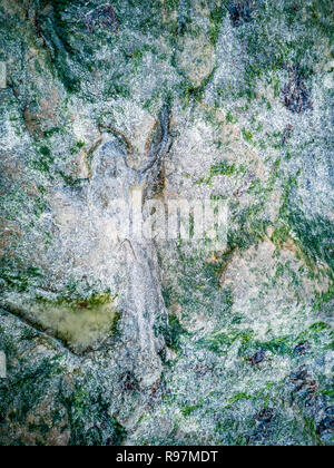 Die berühmten Fußabdrücke von Dinosauriern zu einem corran Strand von staffin auf die Isle of Skye - Schottland Stockfoto