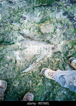 Die berühmten Fußabdrücke von Dinosauriern zu einem corran Strand von staffin auf die Isle of Skye - Schottland Stockfoto