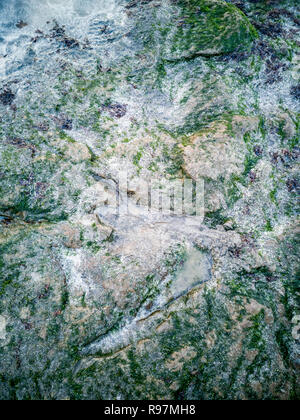 Die berühmten Fußabdrücke von Dinosauriern zu einem corran Strand von staffin auf die Isle of Skye - Schottland Stockfoto