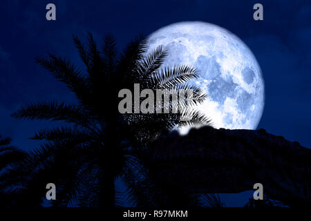 Vollen blauen Mond zurück silhouette Dinosaurier in den Nachthimmel, Elemente dieses Bild von der NASA eingerichtet Stockfoto