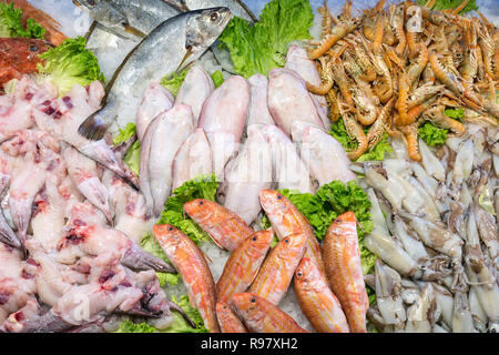 Der Rialto Fischmarkt in Venedig, Italien. Blick von oben auf die frische Meeresfrüchte auf Eis. Stockfoto