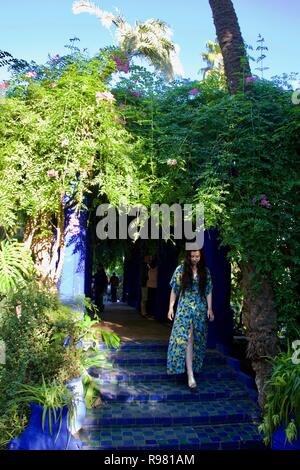 Eine Langhaarkatze weiblich Tourist in einem blauen und gelben Zitrone gemusterten Kleid nach unten Spaziergänge Schritte in einem schönen Garten Stockfoto
