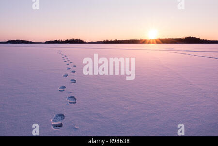 Footprints in Richtung Sonnenuntergang auf dem Schnee auf einem zugefrorenen See. Stockfoto