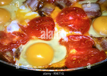 Das traditionelle Frühstück. Eier mit Tomaten und Speck in einer Pfanne gebraten. Gelbe Eidotter. Selektiver Fokus Stockfoto