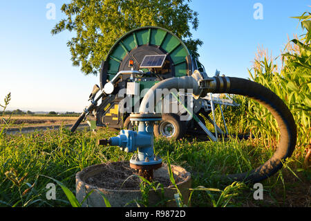 Eine ökologische landwirtschaftliche Bewässerung mit einem großen Schlauchhaspel und Photovoltaik Solar Panel in der Morgendämmerung Stockfoto