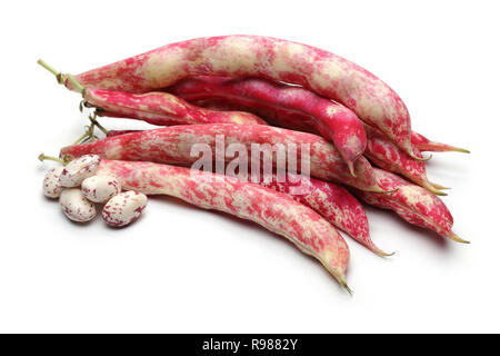 Pinto Bohnen und Schoten auf weißem Hintergrund Stockfoto