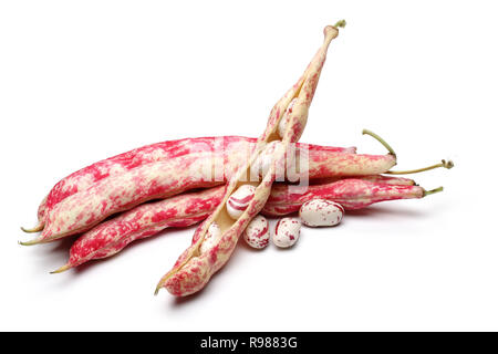 Pinto Bohnen und Schoten auf weißem Hintergrund Stockfoto