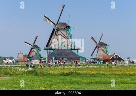 Touristen zu Fuß entlang der traditionellen holländischen Windmühlen in Zaanse Schans in Niederlande Stockfoto