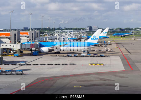 KLM-Flugzeuge auf dem Flughafen Amsterdam Schiphol, Niederlande Stockfoto