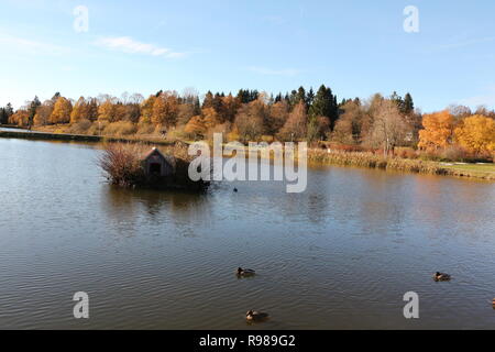 Herbst am Kranischsee in Hahnenklee-Bockswiese, einem Ortsteil von Goslar im Harz in Norddeutschland Stockfoto