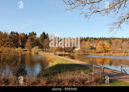 Herbst am Kranischsee in Hahnenklee-Bockswiese, einem Ortsteil von Goslar im Harz in Norddeutschland Stockfoto