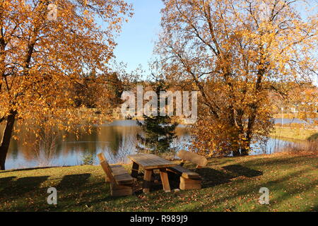 Herbst am Kranischsee in Hahnenklee-Bockswiese, einem Ortsteil von Goslar im Harz in Norddeutschland Stockfoto